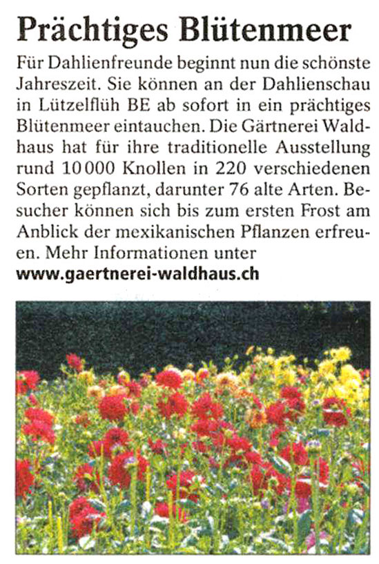 Artikel Tierwelt