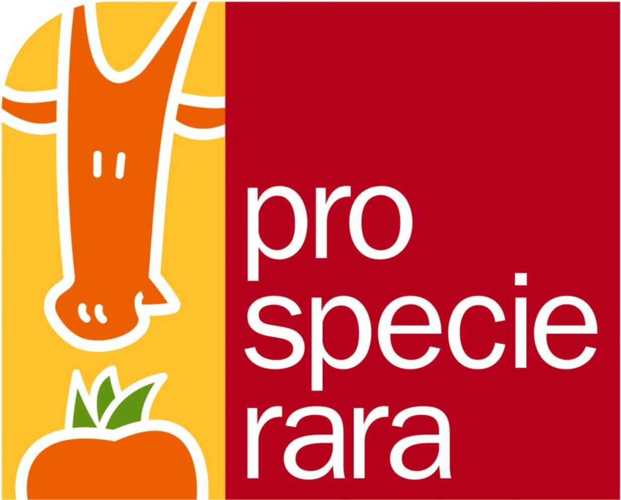 PSR Logo farbig