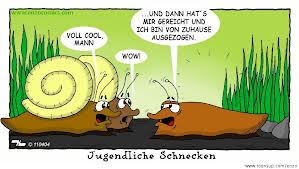 schnecken
