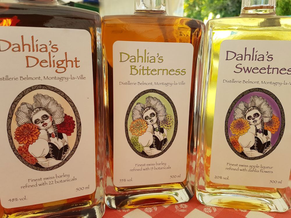 Dahlienblüten Schnaps 1